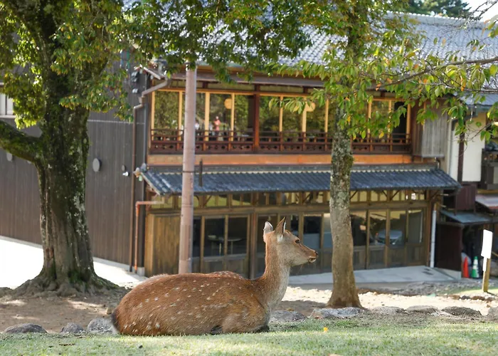 Villa Communico,Nara