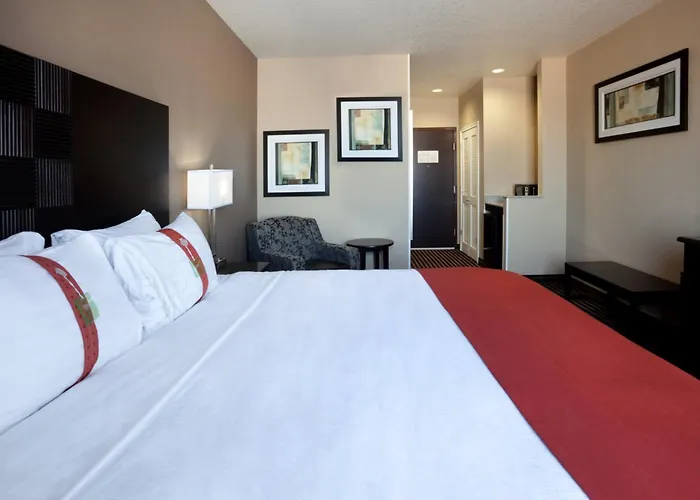 Holiday Inn San Antonio North Stone Oak Area By Ihg-Newly Renovated