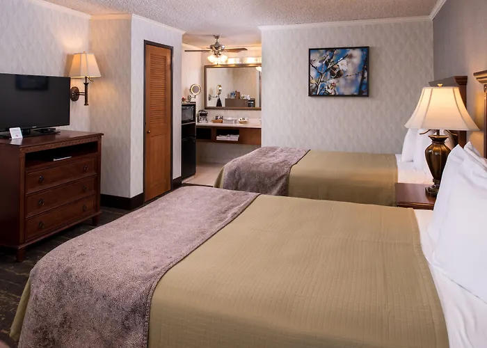 Best Western Plus Black Oak