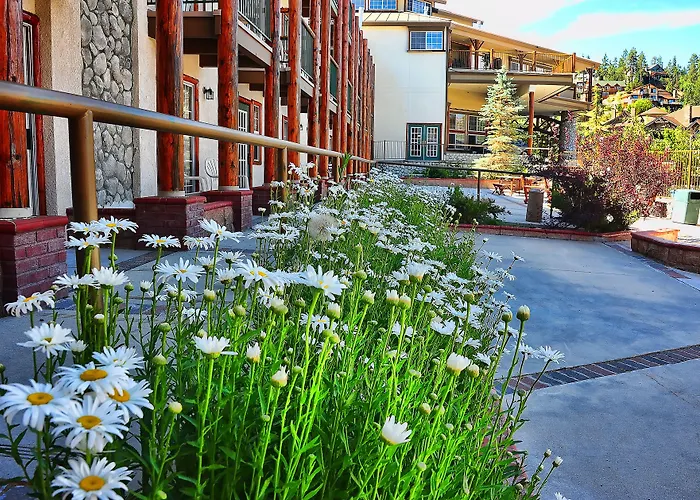 Holiday Inn Resort The Lodge At Big Bear Lake By Ihg